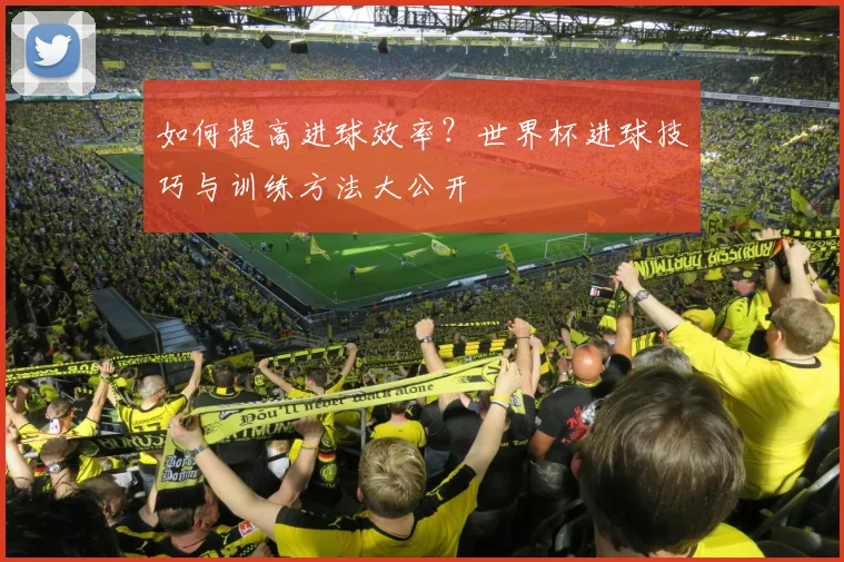 如何提高进球效率？世界杯进球技巧与训练方法大公开